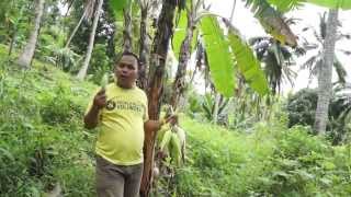 Video 9  Sitio Colilisi Cluster Brgy Tagabakid Mati City Davao Oriental [upl. by Lenahtan811]