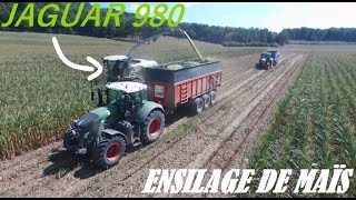 😁 ENSILAGE de MAÏS 2023  JAGUAR 980 amp 3 ESSIEUX  🌽 [upl. by Nivram]