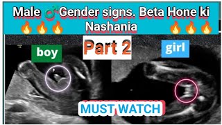 MALE GENDER SIGNS PART 2😎🔥 I BETA HONE KI NISHANIA IN URDU AND HINDI I [upl. by Odnala]