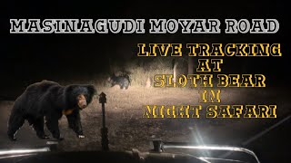 Moyar road Masinagudi forest at sloth bear live night tracking masinagudi mudumalai ooty nilgiri [upl. by Berti391]