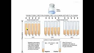 Microbiological Examination of Water MPN [upl. by Acinot]