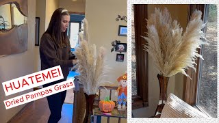 HUATEMEI Dried Pampas Grass beautiful decor for any room pampasgrass decor plants [upl. by Behlke]