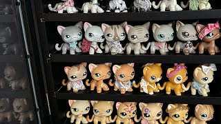 Lps Shorthair Cat Collection [upl. by Navannod]