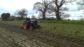 Fordson Major E27N Perkins P6 ploughing [upl. by Notlit]