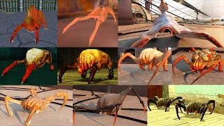 HALFLIFE ALL HEADCRABS SHOWCASE [upl. by Langan]