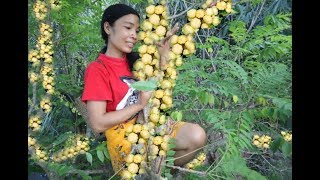 fruit otaheite gooseberry natural for food eating delicious [upl. by Aibar]