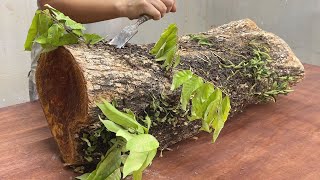 Most Unique Coffee Table Design Ideas  Amazing Skills Of Young Carpenter With Ancient Tree Trunk [upl. by Irneh]