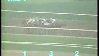 1988 Santa Anita Handicap [upl. by Naie]