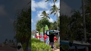 Become a surfer while you vacay  Ko’a Kea Poipu Beach Kauai Hawaii shorts [upl. by Asirehc137]