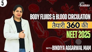 Body fluids and ciculation  ECG Double CIRCULATION  NEET 25  Part 3  Selection जरुरी है। [upl. by Oemor]