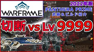 【Warframe】Lv9999を切断『Panthera Prime』の紹介【武器＆ビルド】 [upl. by Ynnub]