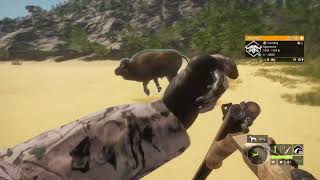 theHunter™ Call of the Wild Cape Buffalo tried to sneak up on me [upl. by Vierno242]