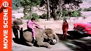 Tanuja Caught Rajesh Khanna With His Elephant  Haathi Mere Saathi [upl. by Aeel]