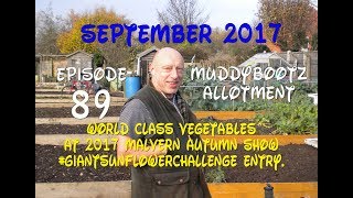 MuddyBootz Allotment 89  World Class Vegetables at Malvern Autumn Show  Giant Sunflower Reveal [upl. by Cerys]