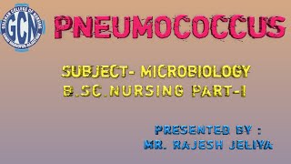 Pneumococcus Presented By Mr Rajesh Sir [upl. by Yekcor128]