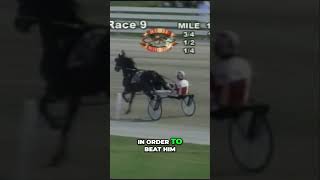 Harness Racing Secrets  The Legacy of SomeBeachSomeWhere🐎 Horses horsejockey SomeBeachSomeWhere [upl. by Nevak]