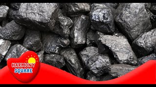 What is Coal  More Science on the Learning Videos Channel [upl. by Shelagh]