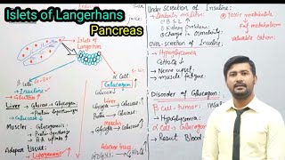 1718 Islets of Langerhan  pancreas  parathyroid glands  endocrine  Fsc 2nd year Biology [upl. by Poyssick376]