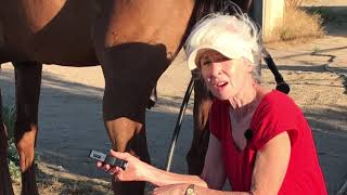 Helping Horses with Dropped Fetlocks [upl. by Lexis393]