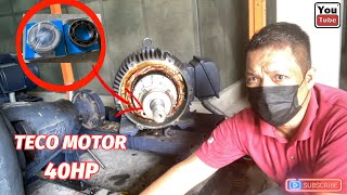 TECO 40hp motor replace bearing electrical industrial gehracca [upl. by Cnut]