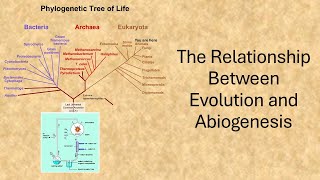 The Relationship Between Evolution and Abiogenesis [upl. by Beutler]