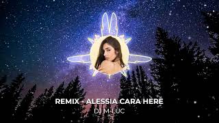 Remix  ALESSIA CARA HERE DJ MLUC [upl. by Toddy8]