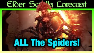 Skein Bugs Skitteris Spider Daedra and Spiderkith Explained [upl. by Atteselrahc446]