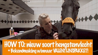 HOW TO nieuw soort HENGSTENVLECHT  Winnaar Valentijnspakket  PaardenpraatTV [upl. by Peti]