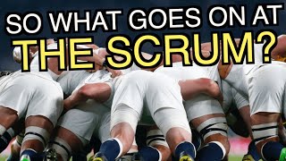 So what goes on at the Scrum with England scrum coach Tom Harrison [upl. by Durston]