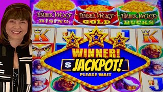 JACKPOT HANDPAY TIMBER WOLF GOLD TRIPLE POWER [upl. by Nimzay475]