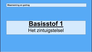 Havo 4  Zintuigen en gedrag  Basisstof 1 Het zintuigstelsel [upl. by Ahsahs]