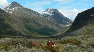 Saulokk med song NordØsterdalen [upl. by Airdnazxela]