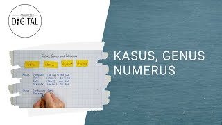 Kasus Genus und Numerus  das bedeuten die Begriffe inkl Arbeitsblatt [upl. by Vastah]