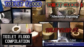 MEGA TOILET FLOOD COMPILATION  SUPER OVERFLOW [upl. by Nagorb]