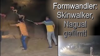 Formwandler Gestaltwandler Skinwalker Shapeshifter Zwei echte Videos [upl. by Enilrahc809]