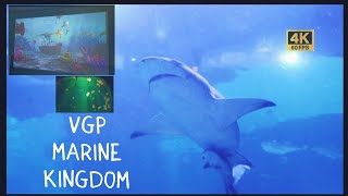 VGP Marine Kingdom [upl. by Broucek615]