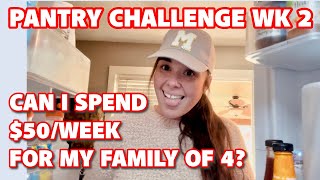 PANTRY CHALLENGE WEEK 2 [upl. by Schnurr835]