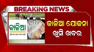 Kalia Yojana Big Update 13 December  Kalia Yojana eKYC  Odisha TV [upl. by Gannes]