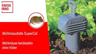 Wühlmausfalle SuperCat SWISSINNO [upl. by Tullus830]