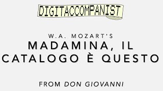 Madamina il catalogo è questo – Digital Accompaniment [upl. by Krock]