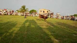 Rodeo de toros  Montecillos Guerrero  Mexico [upl. by Ecidnac648]