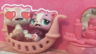 LPS My Fabulous Pink Life Part 13 Addiction [upl. by Torto]