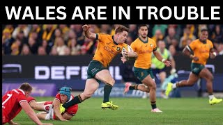 WALLABIES WILL WALLOP WALES [upl. by Tnilf]