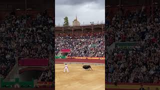 Eusebio Sacristán ‘Use’ en el concurs nacional de recortadores en la magdalena toros fiesta toro [upl. by Amersham]