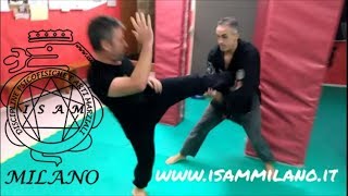 The Silat way 4 Techiques to end a fight after a Front Kick [upl. by Idieh]