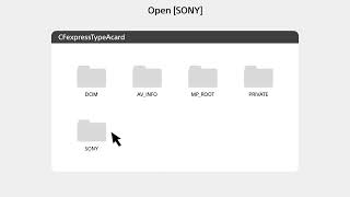 Sonys Custom Grid Line License How to Set Up [upl. by Soloma757]