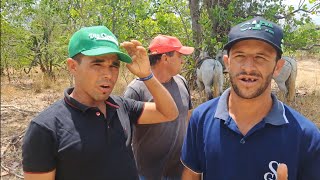 MARQUINHOS DA CAPELINHA E ORINHO FALA O QUE ESPERA DA CARREIRA DO BOI PREÁ 🌵 💥 [upl. by Nedap]