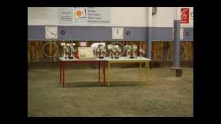 Ecole de pétanque de TREBAS au concours de RODEZ [upl. by Dermott]