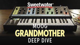 Moog Grandmother Deep Dive — Daniel Fisher [upl. by Ydniw]