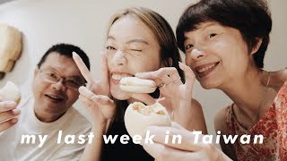 台灣下次見！回美前一週Weekly Vlog🇹🇼值得被想念的平凡美好日子們♡ [upl. by Eynttirb]